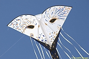 32 FESTIVAL CERVIA 2012 - 248
